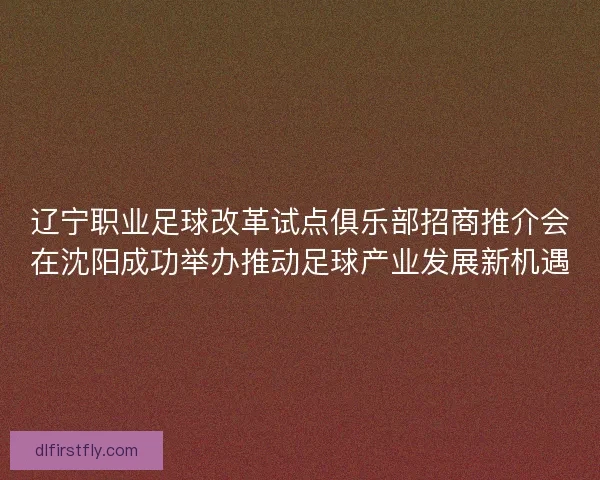 辽宁职业足球改革试点俱乐部招商推介会在沈阳成功举办推动足球产业发展新机遇